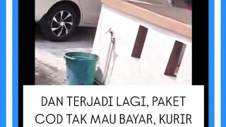kuri cod mendapatkan perlakuan kasar