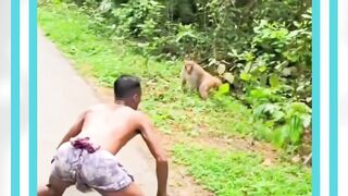 manusia vs monyet