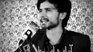 Shero shayari shero shayari