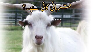 eid ul adha