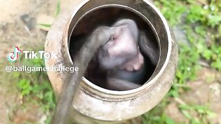 watch full video 2