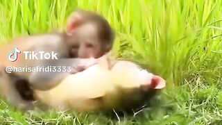 full video watch 2