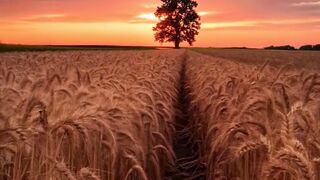 Beautiful nature 228