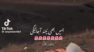 What's app status nice status