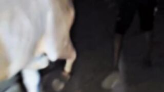 Ham in pr qurban or ya allah ki rahma