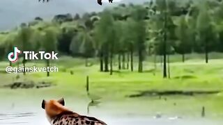 full video watching 30