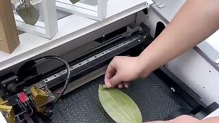 #leaf carving machine#leaf carving machine#stall.