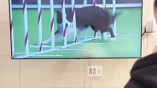 #funnyreels 4
