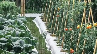 بارش ایسی کہ دیکھتے ہی مزا آ جاءے .....