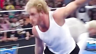 Big fight wwe