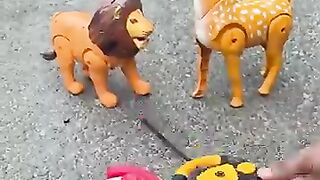 Animal 66
