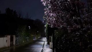 The night understands your PAIN????