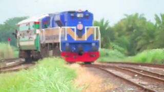 Train Video