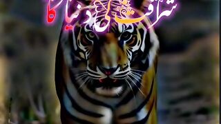 We love