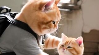 Ai video bana ka tarika