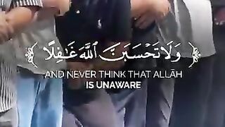 Islamic video 170