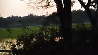 Just view 2
