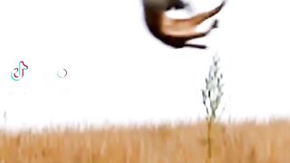 full  video