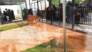 Riyadh zoo