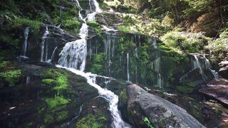 Waterfall Relaxing Music with Nature sounds, Soothing Sounds, Sleeping, Meditation Music