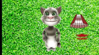 talking tom | billu dress| tajj set| cartoon birds zone |