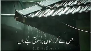 Tik Tok video sero shire wali
