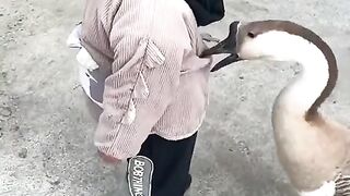 Funny video
