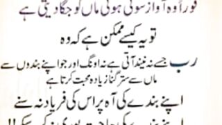 Islami status