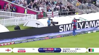 World Record Sixes Morgan