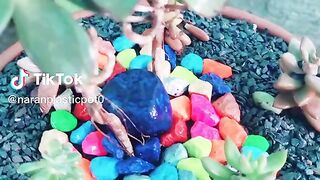 Make a beautiful flower with stone