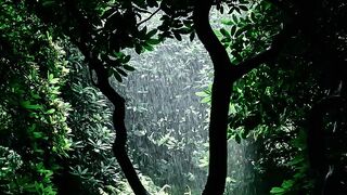 relaxing rain sound