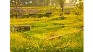 Nature beautiful view