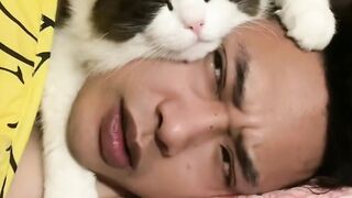 This cat always like to sleep on my face. Fun