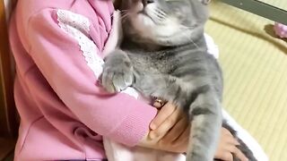 Little girls loves and takes care of her cat..fun