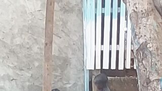 Deux enfants qui s'amuse