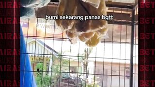 dingin tp panik dkit????