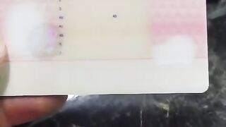 Führerschein, Personalausweis, Original Datenbank registrierter Reisepass