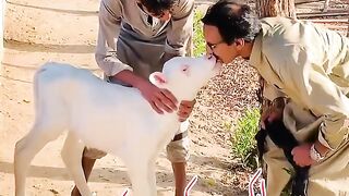 Piyar aur muhabat