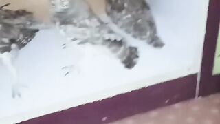 Birds is the main character of nature