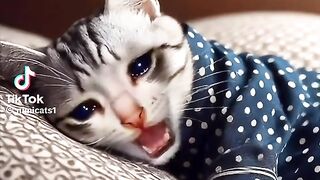 Funny Special for Single