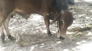 Eid Mubarak 76
