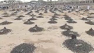 Islamic video 204