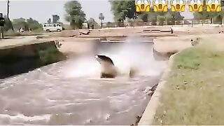 Yah video hai ek sanap ki