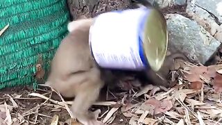 full video 320