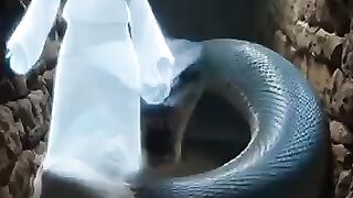 Islamic video 207