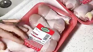 Video 566