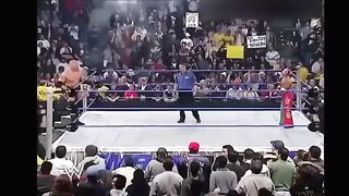 Wrestler Brock