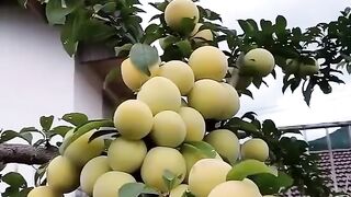 ????????????????Fruits love instagood????????????????????????????