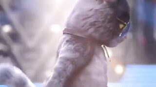 Funny Cat dancing on Uyi Amma❤️ #comedy #cat #shorts #dance #viralvideo