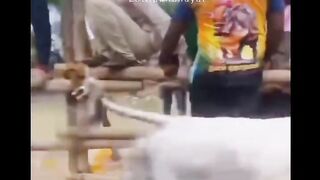 follow teruss untuk video video terbaru lainnya